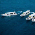 The Rarely Discussed Impact of Ferry Travel on Corporate Event Transportation
