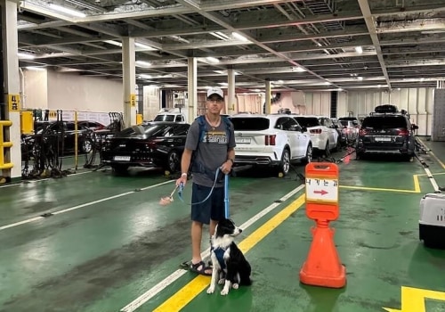 Navigating Ferry Travel: Bringing Your Car on Board